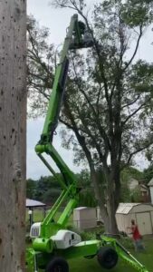green boom lift with worker trimming a tall tree in a residential yard